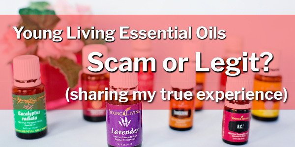 What Is The Young Living Essential Oils - Scam or Legit
