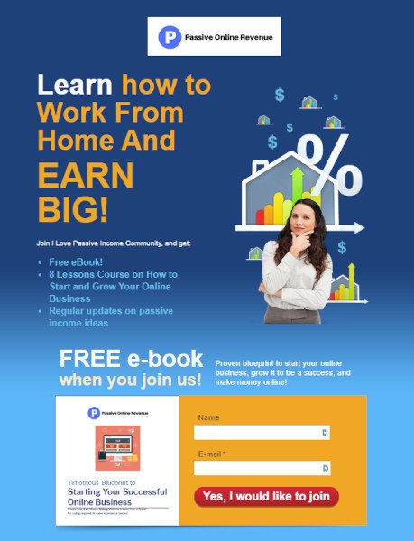 Learn How To Work From Home And Earn Big Landing Page