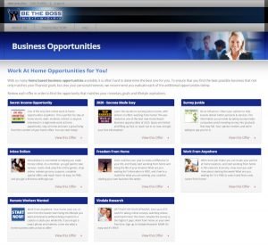 Be The Boss Network Business Opportunities Page