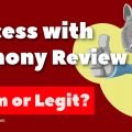 Success with Anthony Review - Scam or Legit?