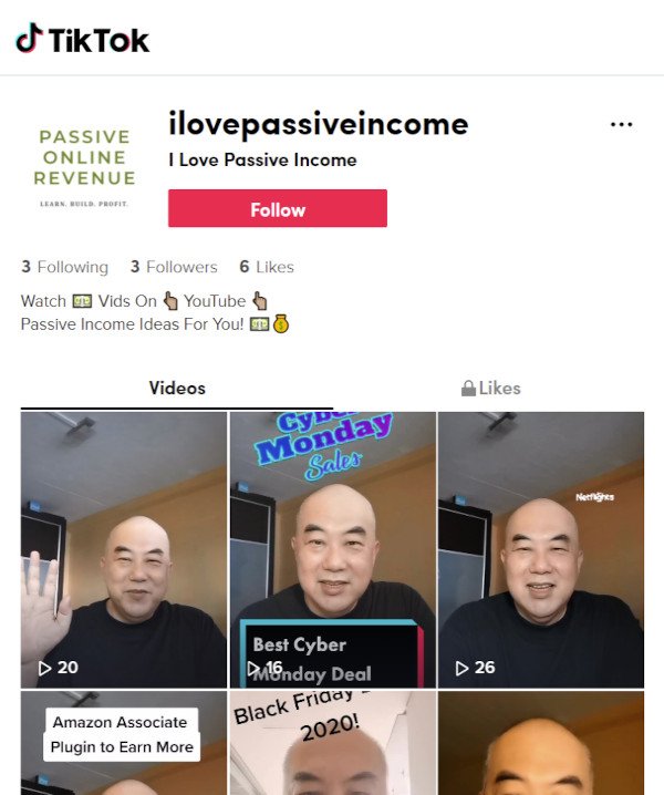 Passive Online Revenue TikTok Channel - Click image to go to my TikTok Channel and Follow Me