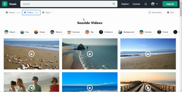 Search For Seaside Videos on Pexels