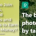 How to Join Pexels, Upload Photos and Videos to Earn Some Money?