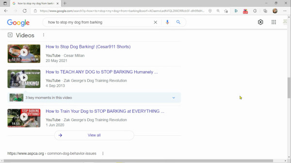 Videos on First Page of Google Search Engine Results Page